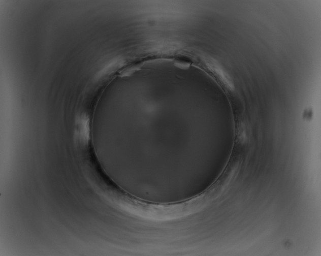 X0000102490027200808081339