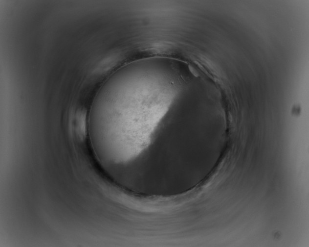 X0000102490028200808081339