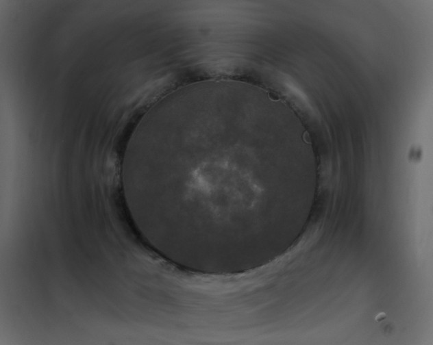 X0000102490029200808081339