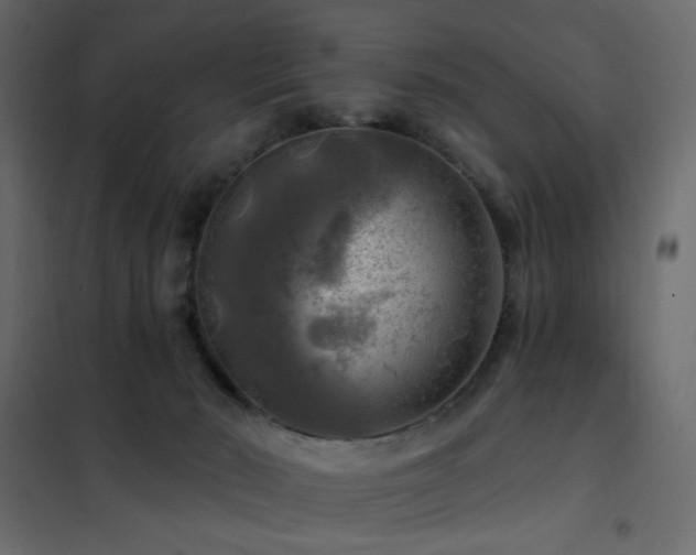 X0000102490030200808081339