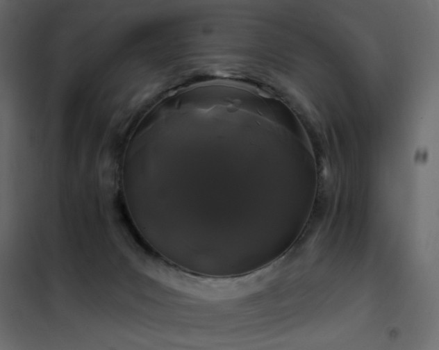X0000102490031200808081339
