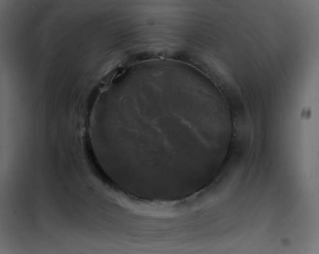 X0000102490032200808081339