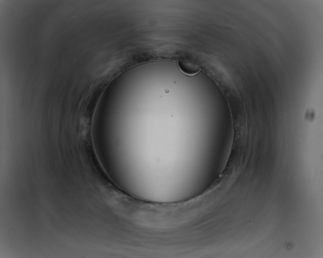 X0000102490033200808081339
