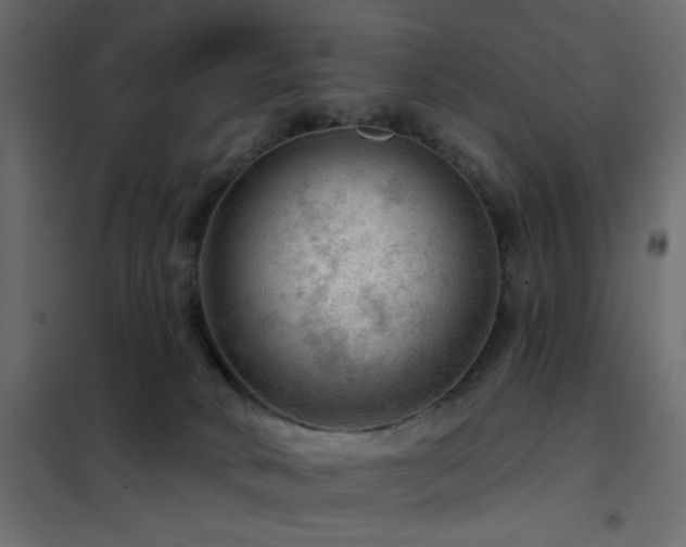 X0000102490034200808081339