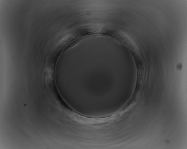 X0000102490035200808081339