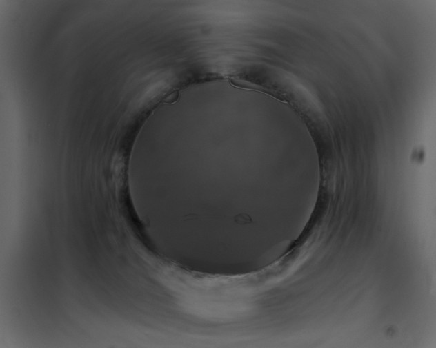 X0000102490036200808081339