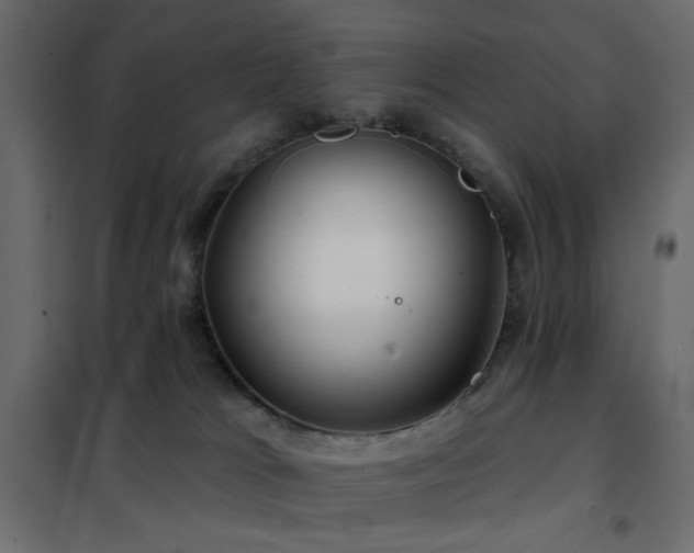 X0000102490037200808081339