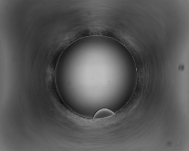 X0000102490038200808081339