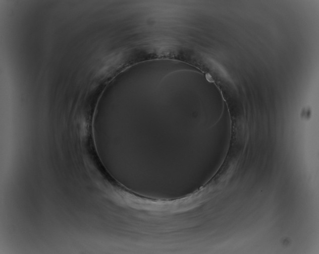 X0000102490039200808081339