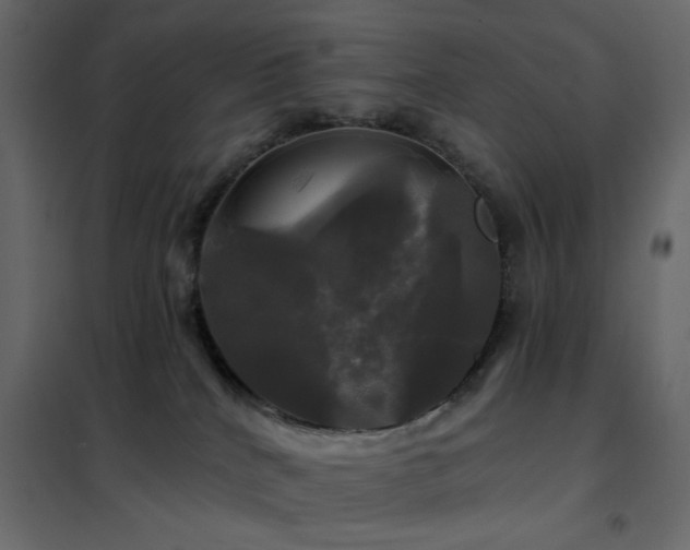 X0000102490040200808081339