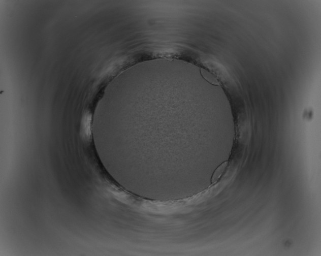X0000102490041200808081339