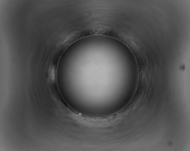 X0000102490042200808081339
