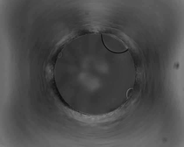 X0000102490043200808081339