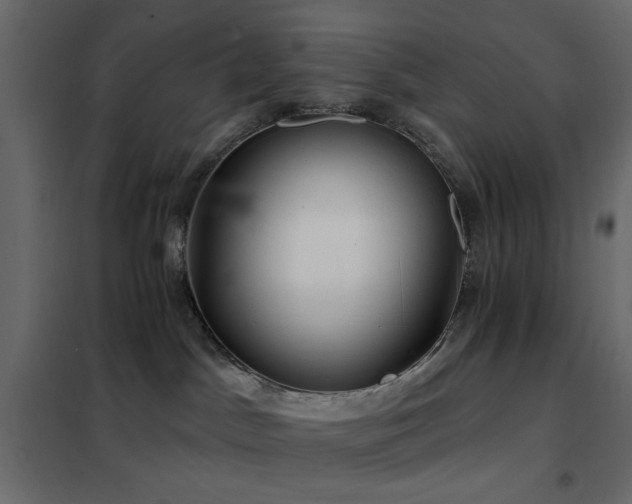 X0000102490045200808081339