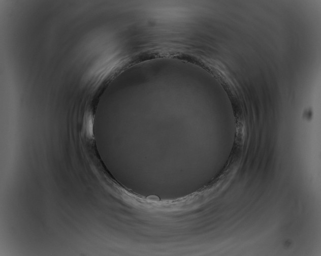 X0000102490046200808081339