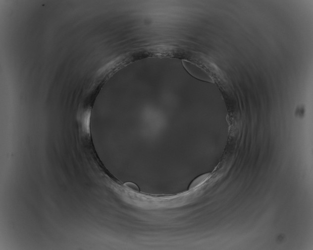 X0000102490047200808081339