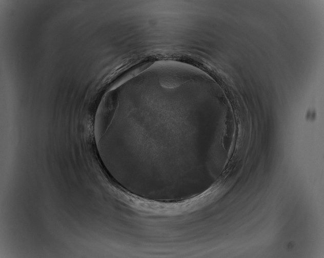 X0000102490048200808081339
