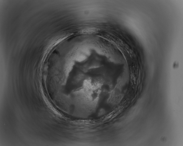 X0000102490049200808081338