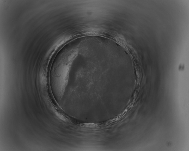 X0000102490050200808081338