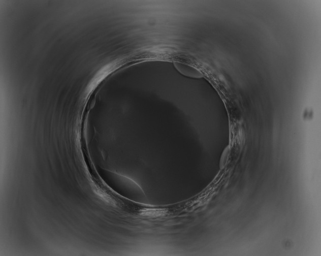 X0000102490051200808081338