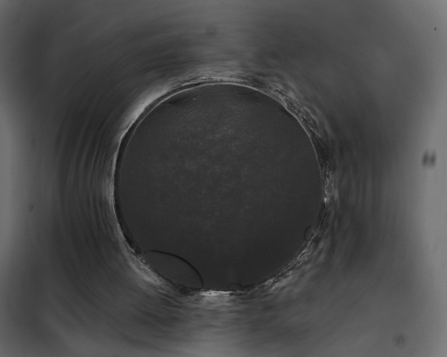 X0000102490052200808081338