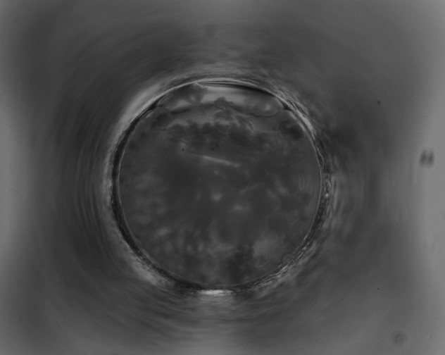 X0000102490053200808081338
