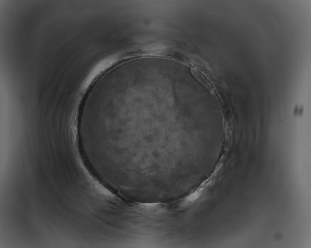 X0000102490054200808081338