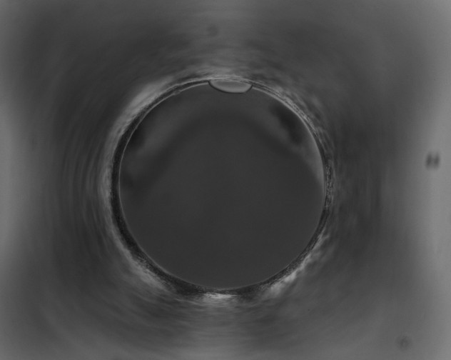 X0000102490055200808081338