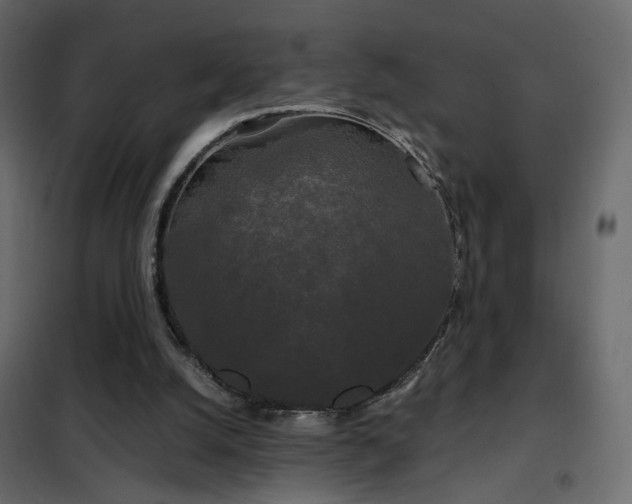 X0000102490056200808081338