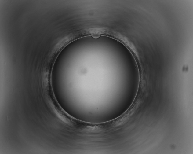 X0000102490057200808081338