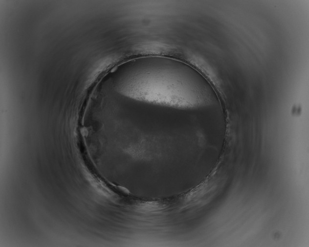 X0000102490058200808081338