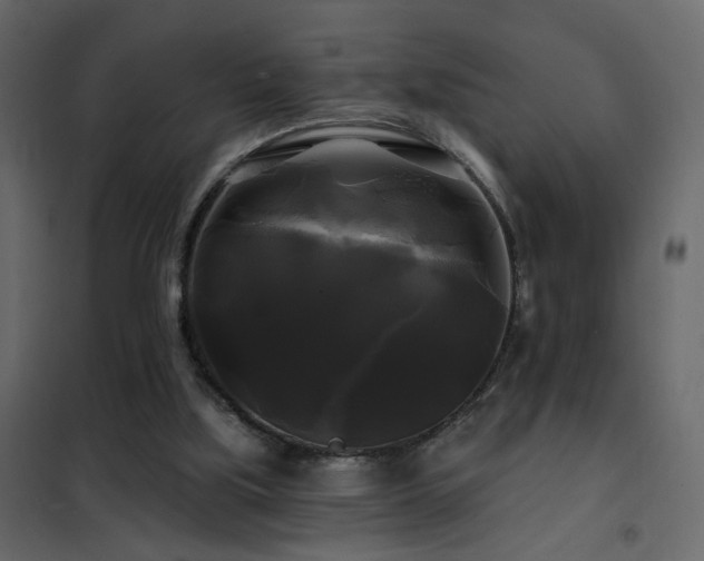 X0000102490059200808081338