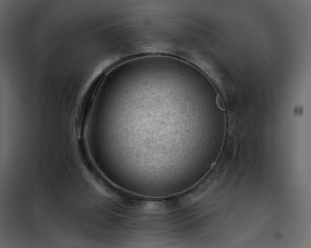 X0000102490060200808081338