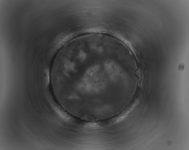 X0000102490061200808081338