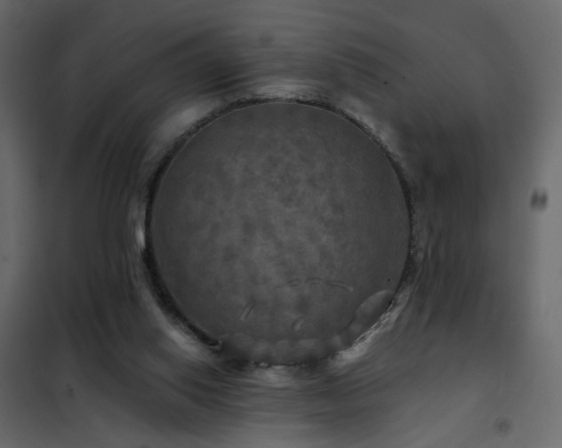 X0000102490062200808081338