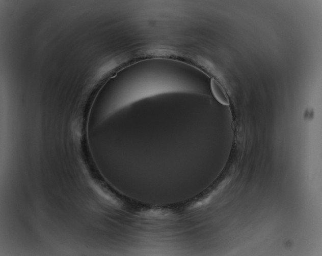 X0000102490063200808081338