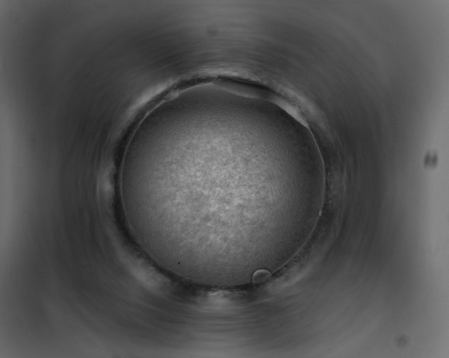 X0000102490064200808081338