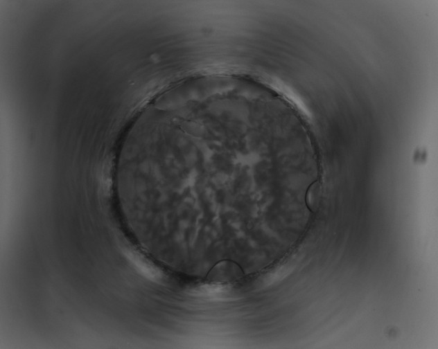 X0000102490065200808081338