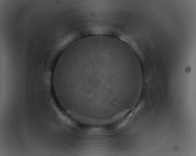 X0000102490066200808081338