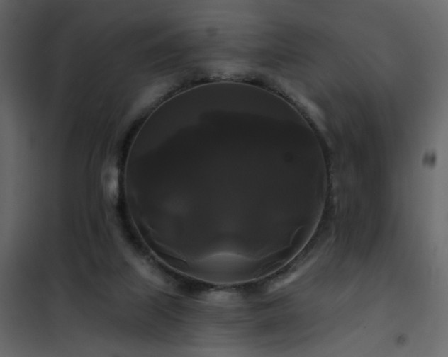 X0000102490067200808081338
