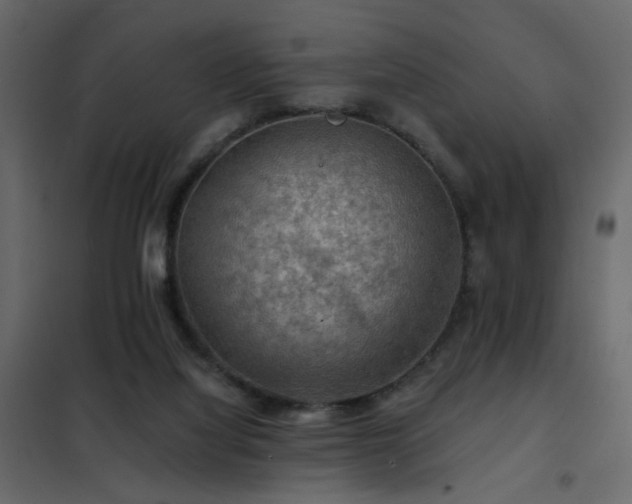 X0000102490068200808081338