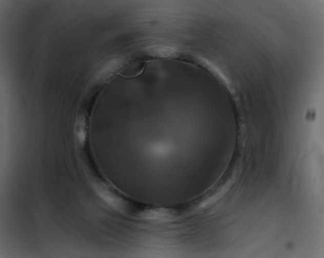 X0000102490069200808081339