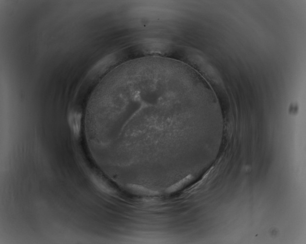 X0000102490070200808081339