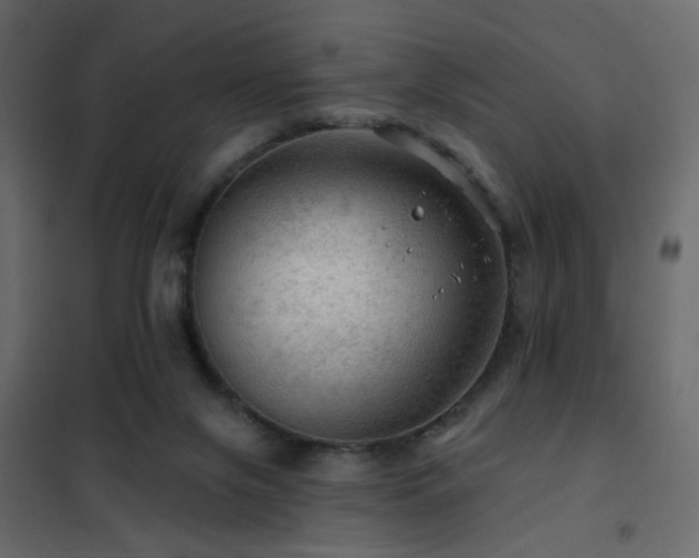 X0000102490071200808081339