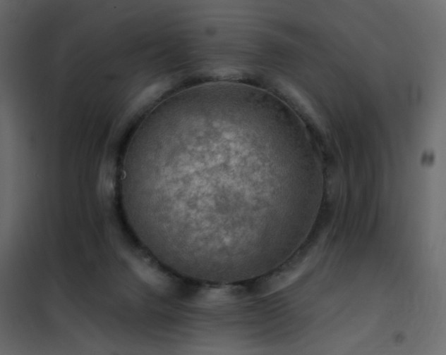 X0000102490072200808081339