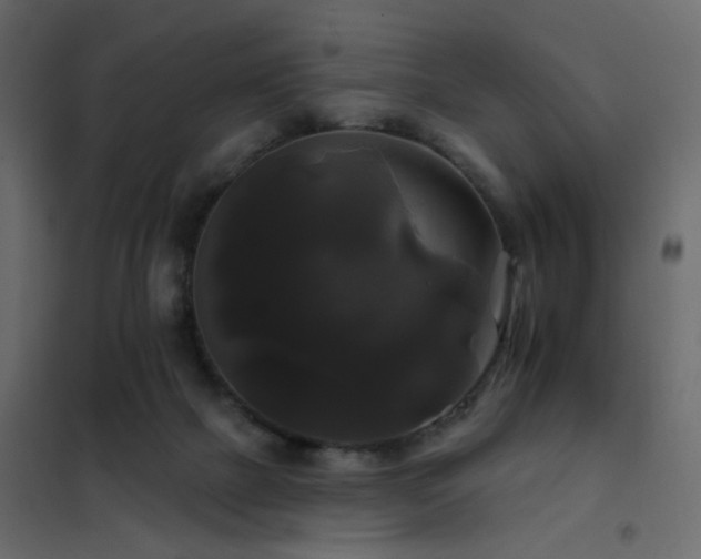 X0000102490073200808081339