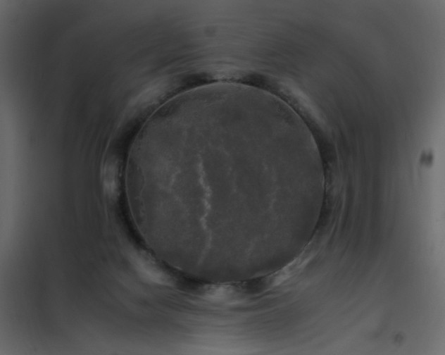 X0000102490074200808081339