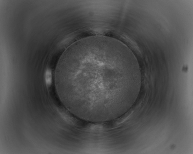 X0000102490075200808081339