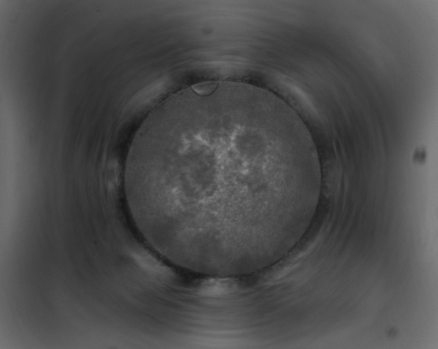 X0000102490077200808081339