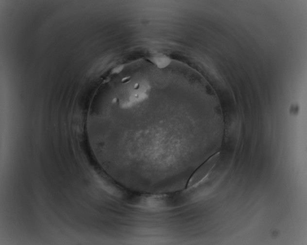 X0000102490078200808081339